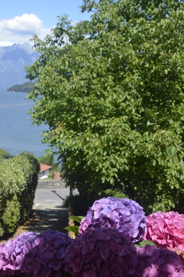 Anma Cottages The Secret Garden Pianello Del Lario Exterior photo
